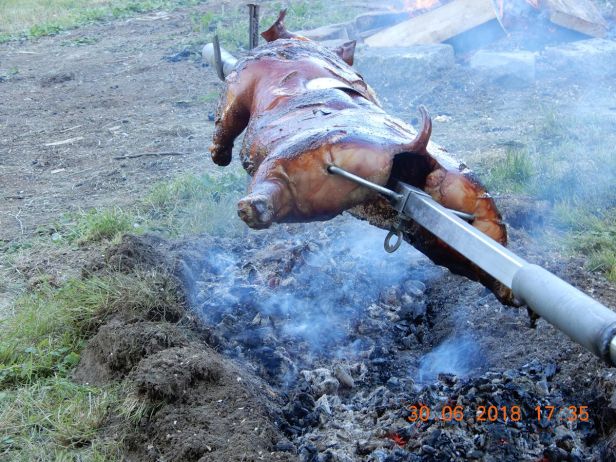 DIn allen Belangen überlegen - die Heimakteure aus Neuhaus