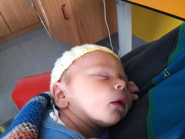 DIn allen Belangen überlegen - die Heimakteure aus Neuhaus