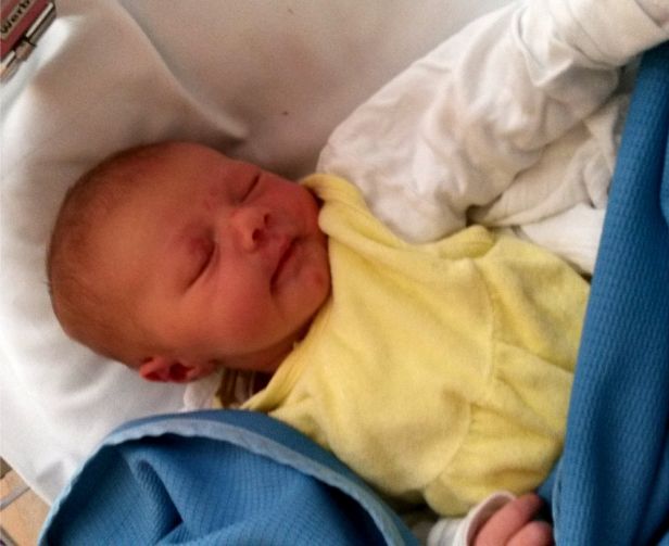 UBBC Zuwachsrate wieder erhöht