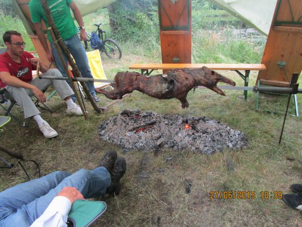 Dem UBBC Sommerfest fiel wieder eine Wildsau zum Opfer