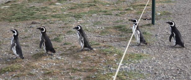 UBBC-Spieler auf den Weg in die Kabine ??
