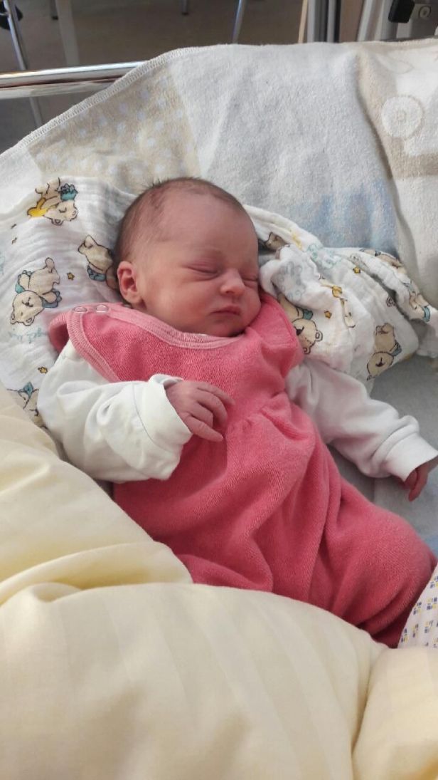 Allerletzte Chance 2016 genützt - ein gebärfreudiges Jahr neigt sich zum Ende